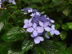 [시화노을] 생일선물