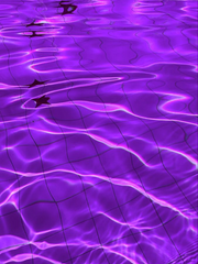 닌츠보 카드스토리