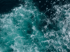 그렇게 된 사람들