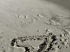 [수박] 06.22 파도가 바다의 일이라면