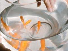 V가 사는 신기루