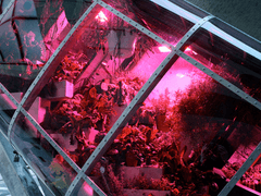 칼리드 쿼츠 1학년