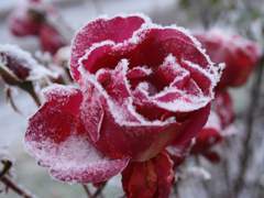 여름은 끝났어.