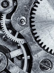 안드로이드는 전기햄스터의 꿈을 꾸는가?