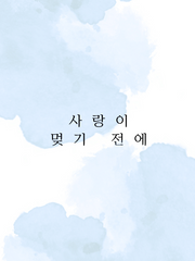 사랑이 멎기 전에