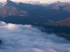 자고 일어나보니 세상이 진짜 망해버렷음