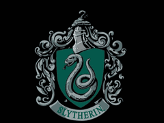 Marigold Inicifre | 슬리데린 | 순혈