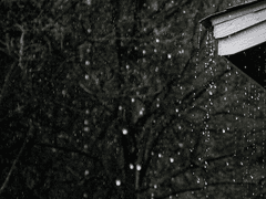 인식되지 않는 자는 어디에 서는가. (下)