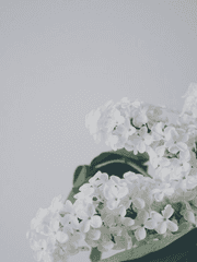 동거인이 너무 까칠하거나 장난스러울 때