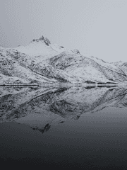 CREA-GRRR! 대만태섭ver