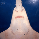 딸기치즈볶음탕