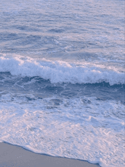 하월청춘회고록