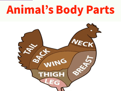 Animal’s Body Parts