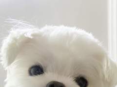 [NCT] 게이들이 좋아하는 여고생 ++