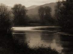 슘님 작곡커미션 신청서