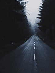 바람과 함께 사라지다.