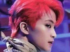 센티넬 포획 작전