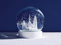 나는 같은 사람을 또 한 번 사랑하게 되었다