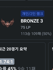 브론즈에서 살아남기