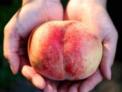 20년 전 이야기 14