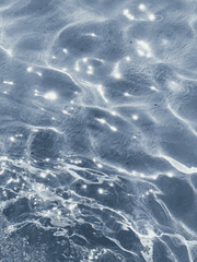 [주술회전] 세계관 최강자가 제 남동생이라는데, 정말인가요? 