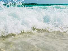 외쳐라 나는 나 자신을 사랑한다!