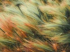 신은 강해지려 의지하는 자를 돕는다