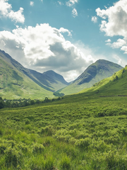 연예인 사주풀이