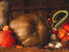 우리가 평정심이 가능하다면 그것은 신보다 뛰어난 일이다