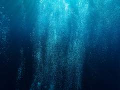 [레테/마스카] 퓌티아는 심해에서 춤춘다