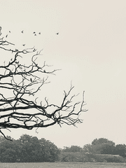 이 세상은 정우성을 빼고 돌아간다. 完