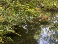 [명헌태섭]흐르지 않는 물 10 完