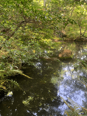 흐르지 않는 물