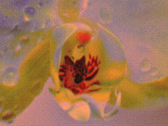 재이코발트코어 무료 바탕화면