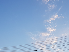 [신레나] 손끝과 닿은 온도에 두근거리는 감정을, 무엇이라고 할까요?