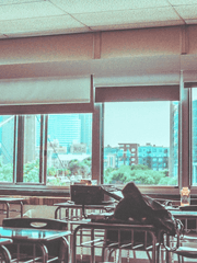 썸데이 고삼탈출