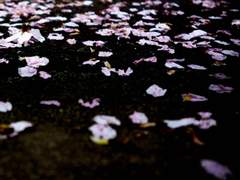 [화산귀환] 불화不和