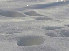 구원은 불행을 낳고.