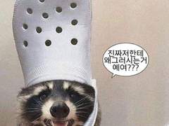 내향적인 산즈 아빠