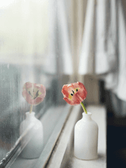 [ 인생 ] 이라는 길에 지쳐