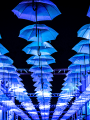 무덤을 위한 교향곡 