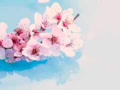 [이조우] My sister (4)