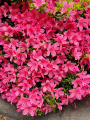 tvN 드라마 비밀의숲 (1,2) 모음