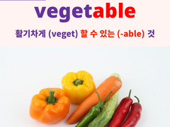 vegetable
