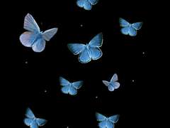 이즈유메) 너와 닿기를 바랐어.