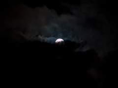 Ignoramus et ignorabimus