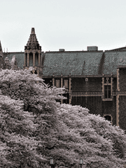 연성교환/커미션/샘플