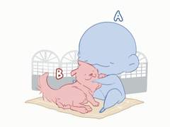 SD 움짤 커미션 🐶 따끈따끈 털친구야 🐱