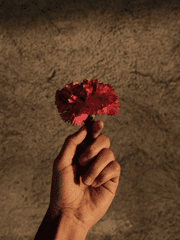 [하타케 카카시 드림] 종이꽃