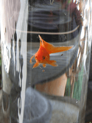 널 좋아하는게 죄야?